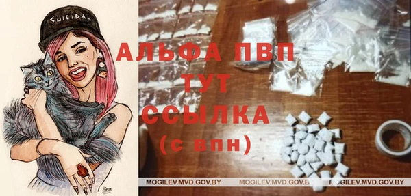 амф Покачи
