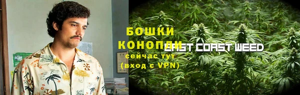spice Богородск