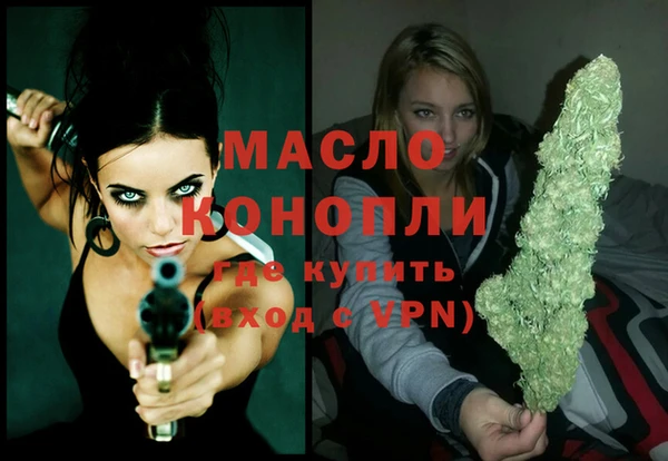spice Богородск