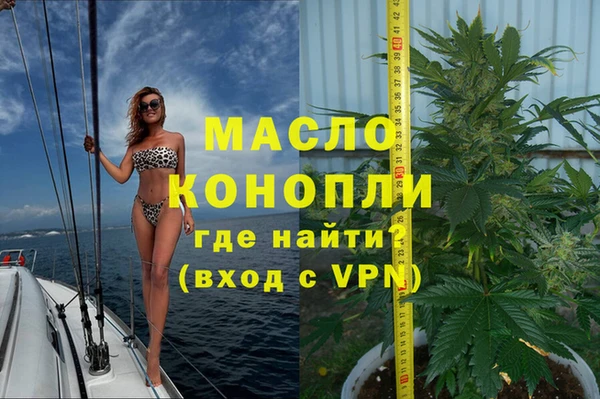 spice Богородск